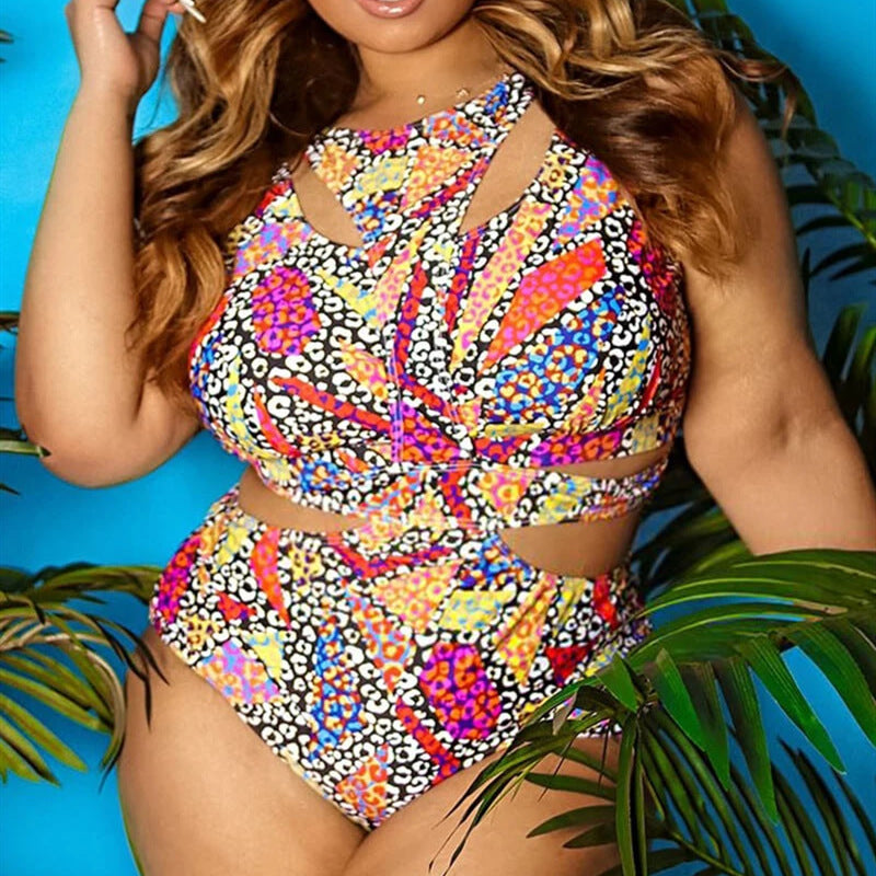 Plus Size Swimsuit Bikini