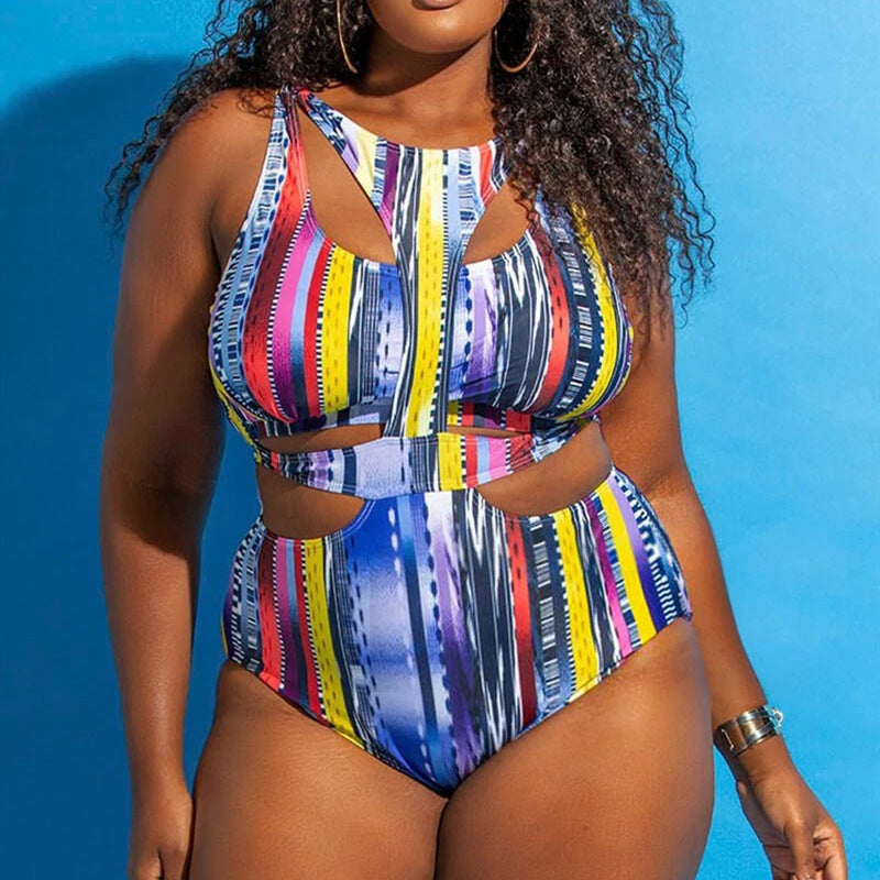 Plus Size Swimsuit Bikini