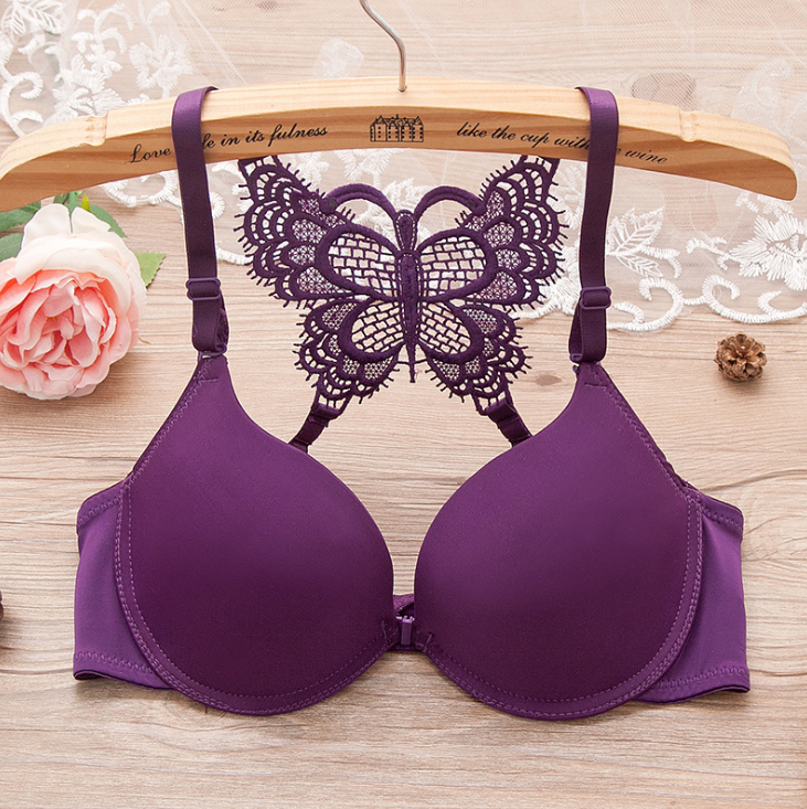 Butterfly Lace Adjustable Glossy Lingerie Bra