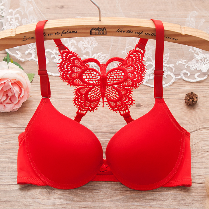 Butterfly Lace Adjustable Glossy Lingerie Bra - Peek A Boo Undies